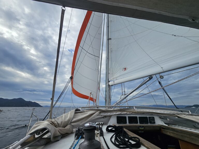 Home sailing
