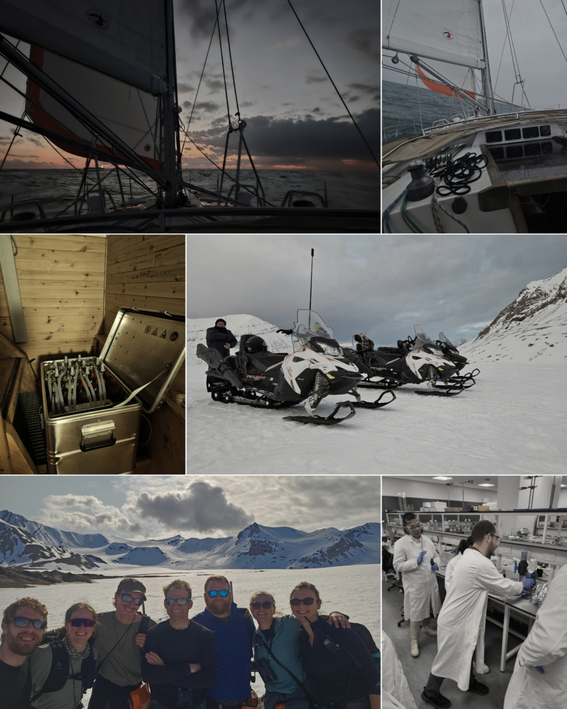 image collage